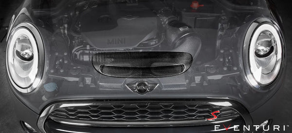 Eventuri Intake System