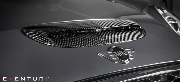Eventuri Intake System