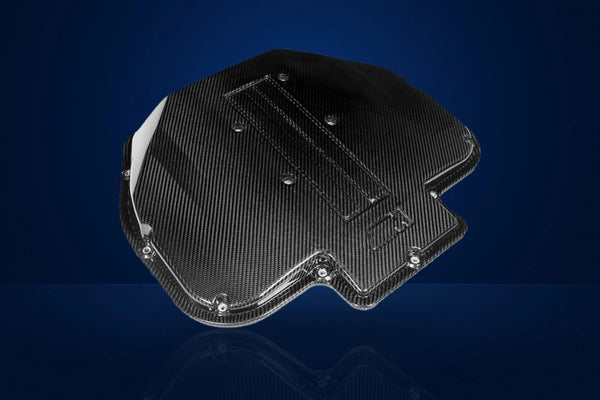 Eventuri Plenum Lid (Carbon) for BMW M5 (E39) S62 V8