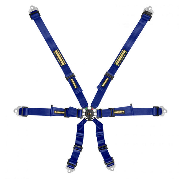 Schroth Flexi 2x2 6-Point Racing Harness
