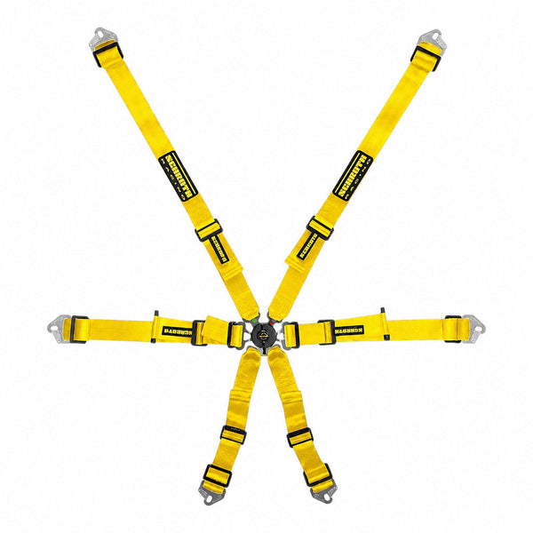 Schroth Flexi 2x2 6-Point Racing Harness