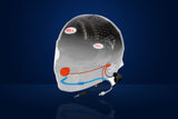 Bell GT6 RD Carbon Race Helmet – Carbon