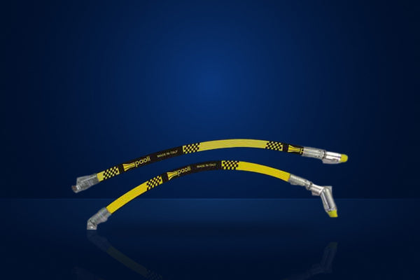 Paoli Whip Hose