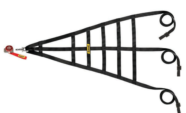 Sabelt Racing Net CFRN2008 (Universal Gold)