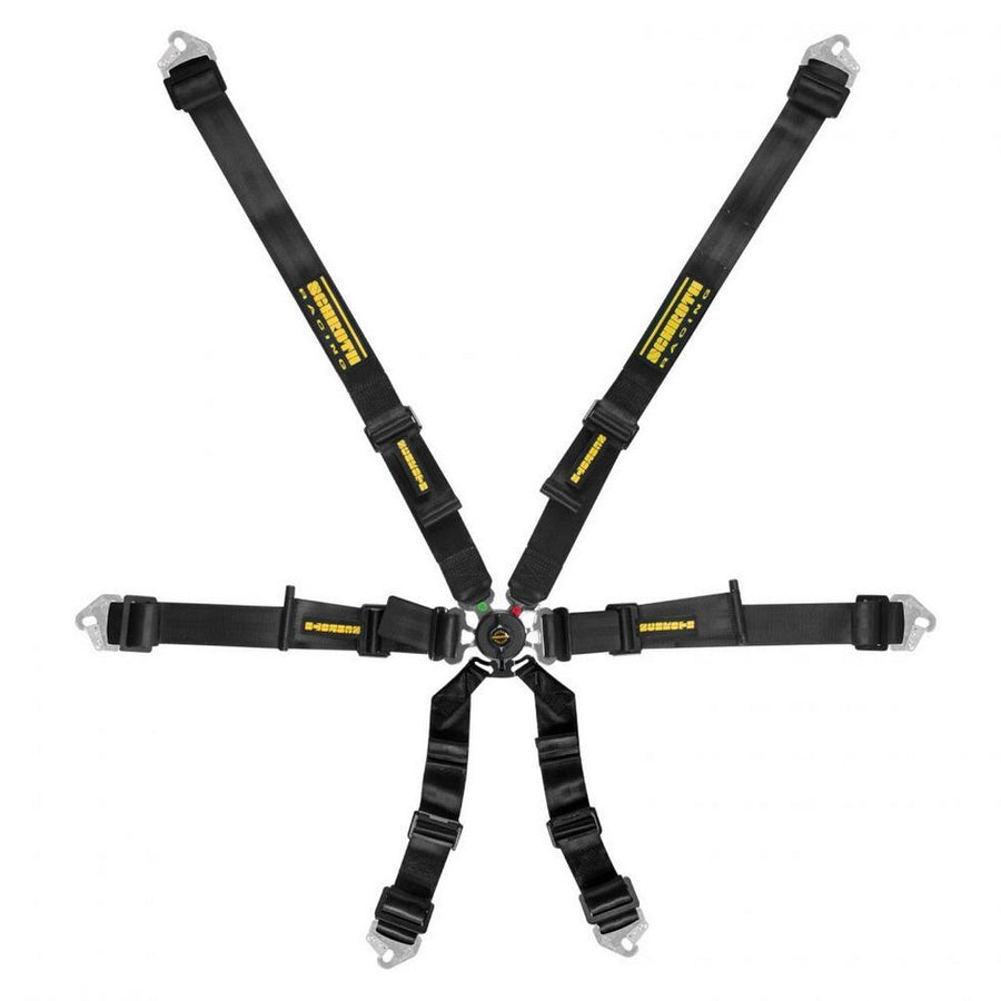 Schroth Flexi 2x2 6-Point Racing Harness