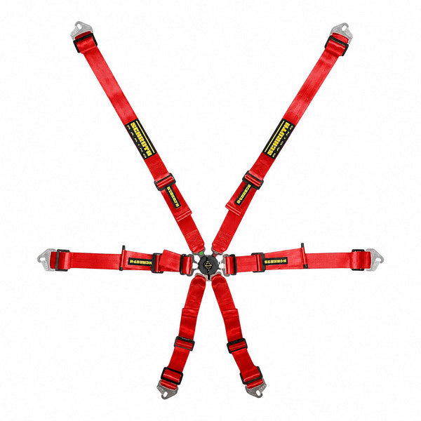 Schroth Flexi 2x2 6-Point Racing Harness