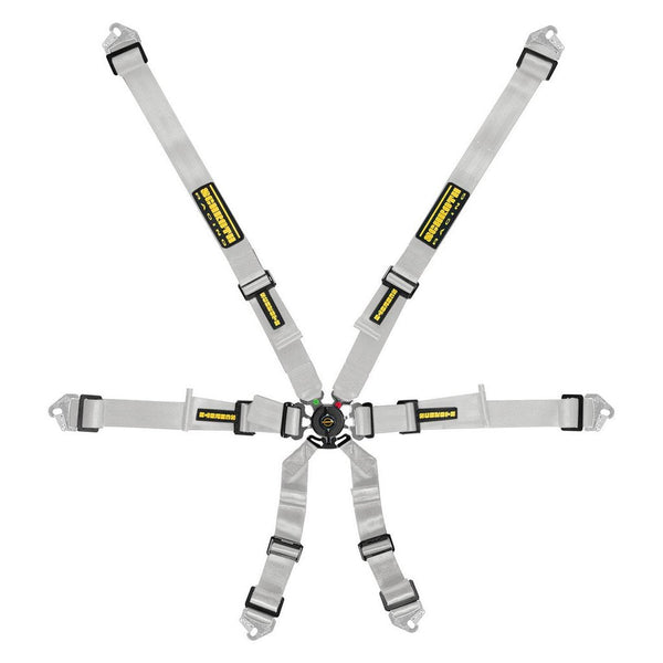 Schroth Flexi 2x2 6-Point Racing Harness